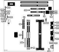 DIAMOND FLOWER, INC. &nbsp; P2MEX/A (REV.A+)